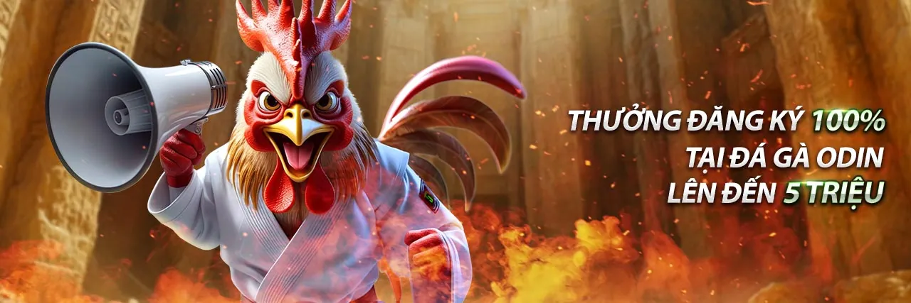 Hình ảnh tổng quan về nền tảng cá cược OK VND với giao diện hiện đại, thể hiện sự đa dạng của các trò chơi